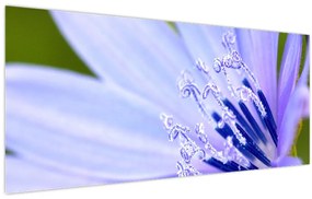 Obraz - kvet (120x50 cm)