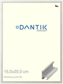 DANTIK rám na obraz 15x20 | ALU Dýha barevná šedá světlá (Sklo Čiré)