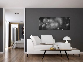 Obraz - Lúčna tráva (120x50 cm)