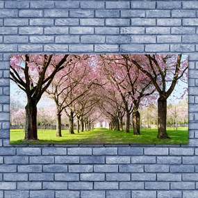 Obraz plexi Chodník stromy príroda 120x60 cm