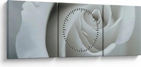 Obraz - Biela ruža (s hodinami) (90x30 cm)