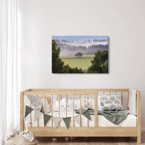 Obraz lúky so stromom (90x60 cm)