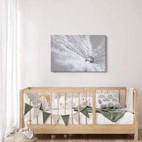 Obraz - Kvapka vody (90x60 cm)