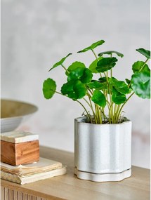 Kameninový kvetináč na bylinky ø 13 cm Argyle – Bloomingville