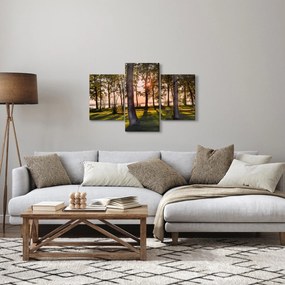 Obraz stromov pri jazere (90x60 cm)