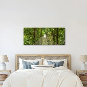 Obraz - Závesný most (120x50 cm)