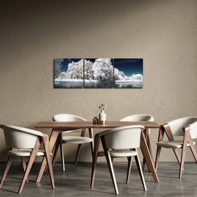 Obraz - Snehobiele stromy (s hodinami) (90x30 cm)