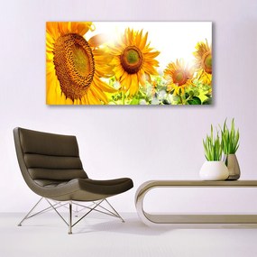 Obraz plexi Slnečnica kvet rastlina 120x60 cm