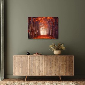 Obraz - Jesenné les (70x50 cm)