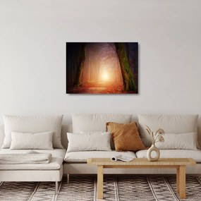 Sklenený obraz jesenného lesa v hmle (70x50 cm)