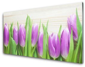 Skleneny obraz Tulipány kvety príroda 100x50 cm