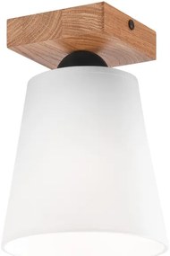 Prisadený luster LULA 1xE27/60W/230V dub