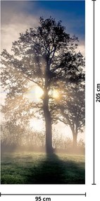 Fototapeta na dvere - Strom v hmle (95x205cm)