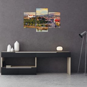 Obraz - Panorama Bratislavy, Slovensko (90x60 cm)
