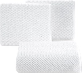RÝCHLOSCHNÚCI UTERÁK Z MIKROVLÁKNA ZOE1 30X50 CM BIELA