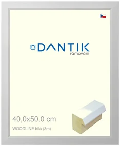 DANTIK rám na obraz 40x50 | WOODLINE bílá (Plexi Čiré)