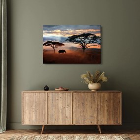 Obraz - Národný park Serengeti, Tanzánia, Afrika (90x60 cm)