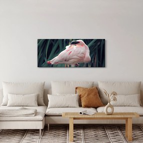 Obraz - Plameniak (120x50 cm)