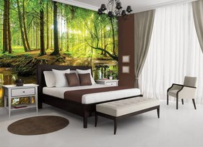 Fototapeta - Slnečný les (254x184 cm)