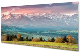 Nástenný panel  top box 120x60 cm