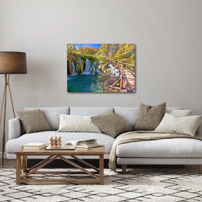 Obraz - Vstup na vodopády (70x50 cm)