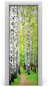 Fototapeta na dvere Břízová les 75x205 cm