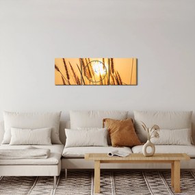 Obraz - Traviny na slnku (s hodinami) (90x30 cm)