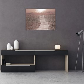 Obraz - Kamienková pláž (70x50 cm)