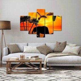 Obraz - papagáje a slony (150x105 cm)