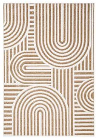 Koberec Salamanca 0,8/1,2 52001 YM3 Y