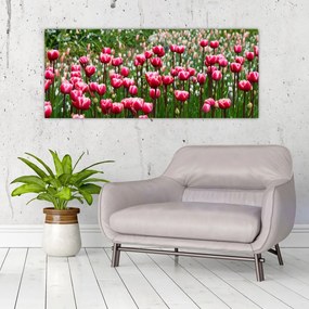 Obraz tulipánov (120x50 cm)