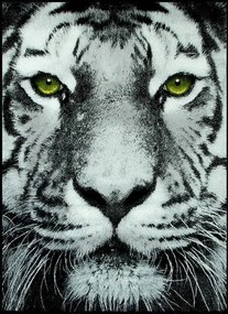 Koberec Rainbow 11179/190 tiger