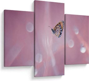 Obraz - Motýlik (90x60 cm)