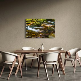 Obraz potôčiku (90x60 cm)