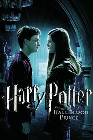 Umelecká tlač Harry Potter and The Half-Blood Prince - Ginny's Kiss