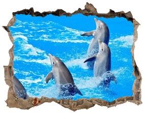 Díra 3D fototapeta na stěnu nálepka Delfíny nd-k-39687572