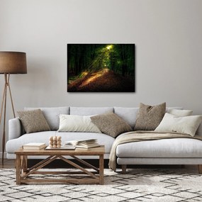 Obraz lesnej cesty (70x50 cm)