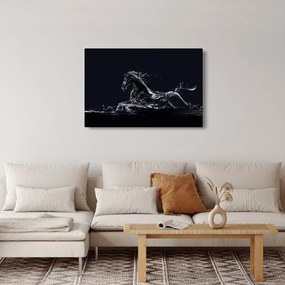 Obraz - Kôň a voda (90x60 cm)