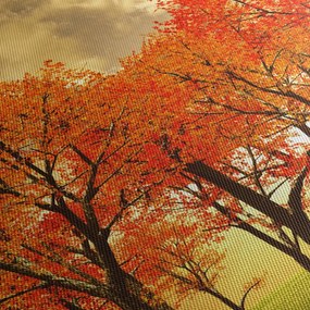 Obraz - Jeseň (120x50 cm)