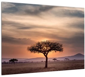 Sklenený obraz západu slnka v Tanzánii (70x50 cm)
