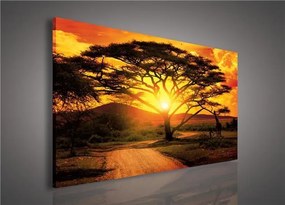 Obraz na stenu Austrália pri západe slnka 100 x 75 cm
