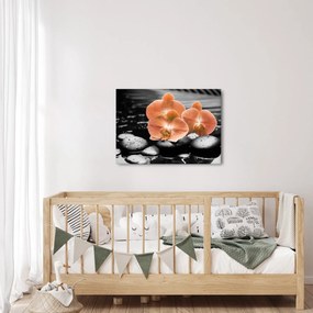 Obraz - Oranžové orchidey (70x50 cm)