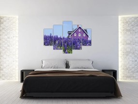 Obraz levanduľového poľa (150x105 cm)