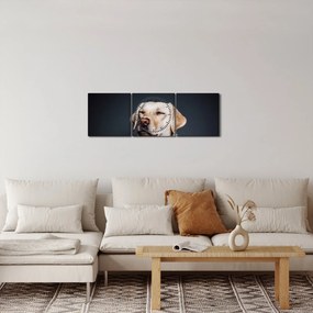 Obraz labradora (s hodinami) (90x30 cm)