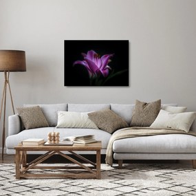 Sklenený obraz ľalia (70x50 cm)