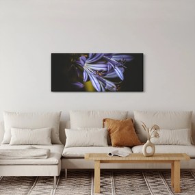 Obraz - Lila (120x50 cm)