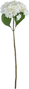 FLORISTA Hortenzia 72 cm – biela