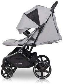 Súrodenecký kočík EasyGo Echo Cloudy Gray