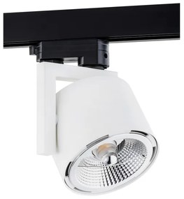 Argon 4750 - Bodové svietidlo ALTO 1xGU10-AR111/12W/230V biela