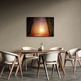 Obraz jesenného lesa v hmle (70x50 cm)